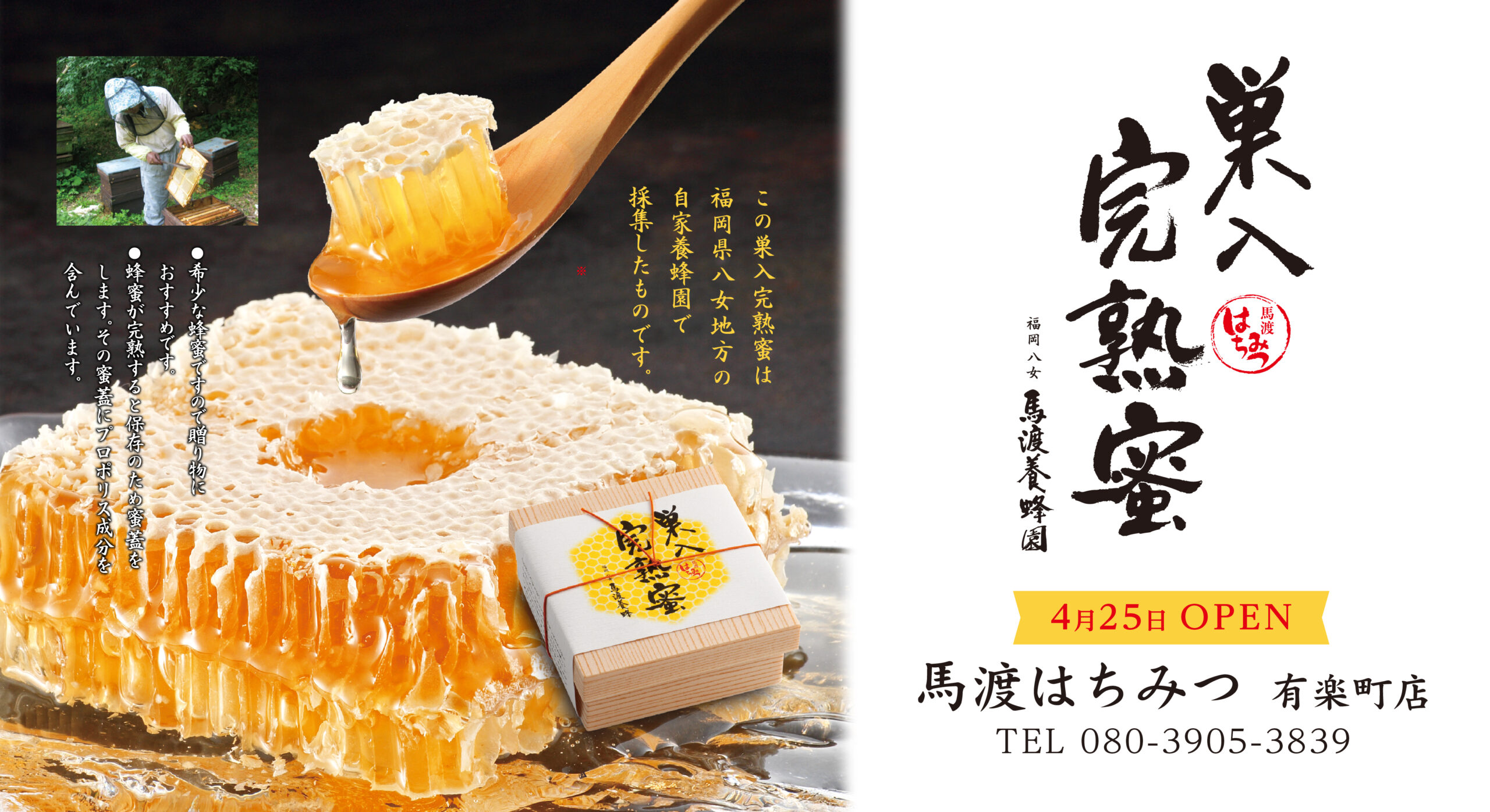 馬渡養蜂園